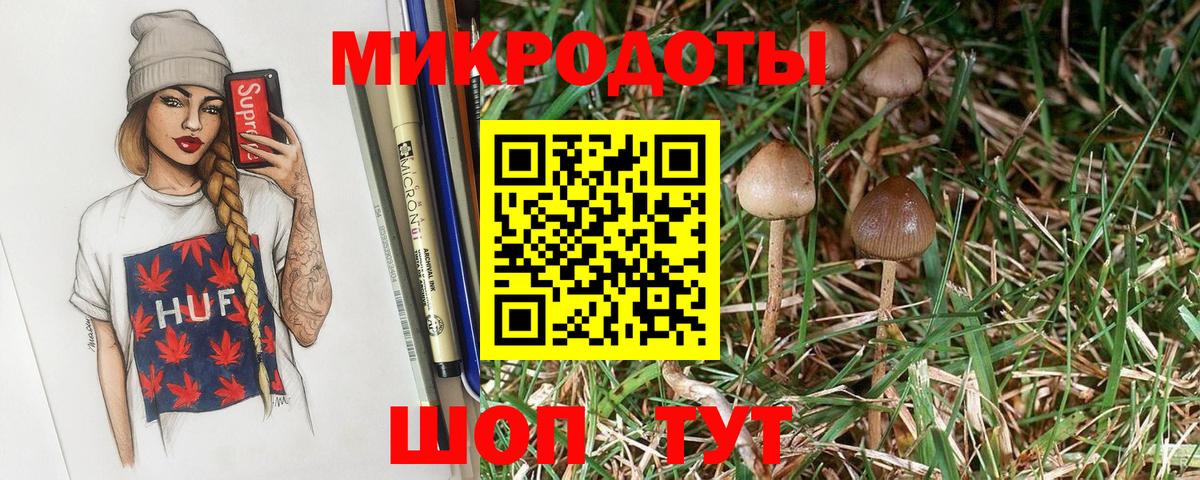 Галлюциногенные грибы Magic Shrooms  Вход с VPN  Заречный 