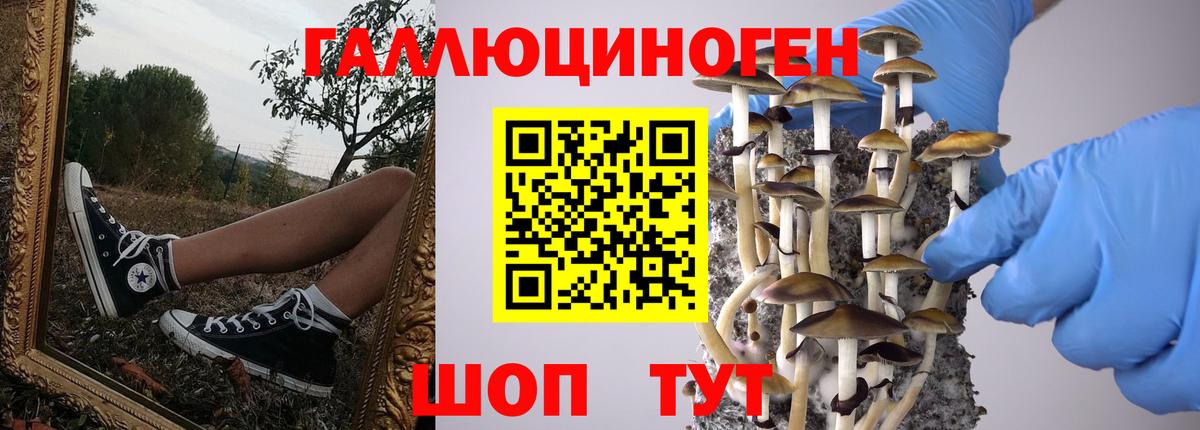 Псилоцибиновые грибы мухоморы Заречный
